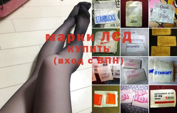экстази Арсеньев