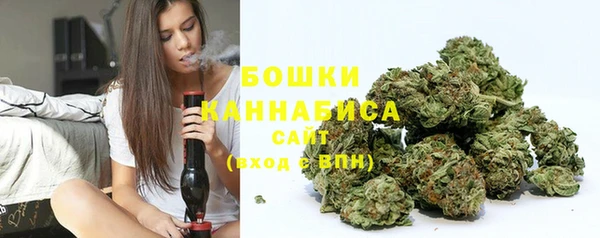 PSILOCYBIN Аркадак